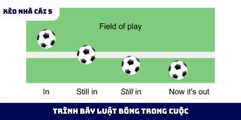 trình bày luật bóng trong cuộc
